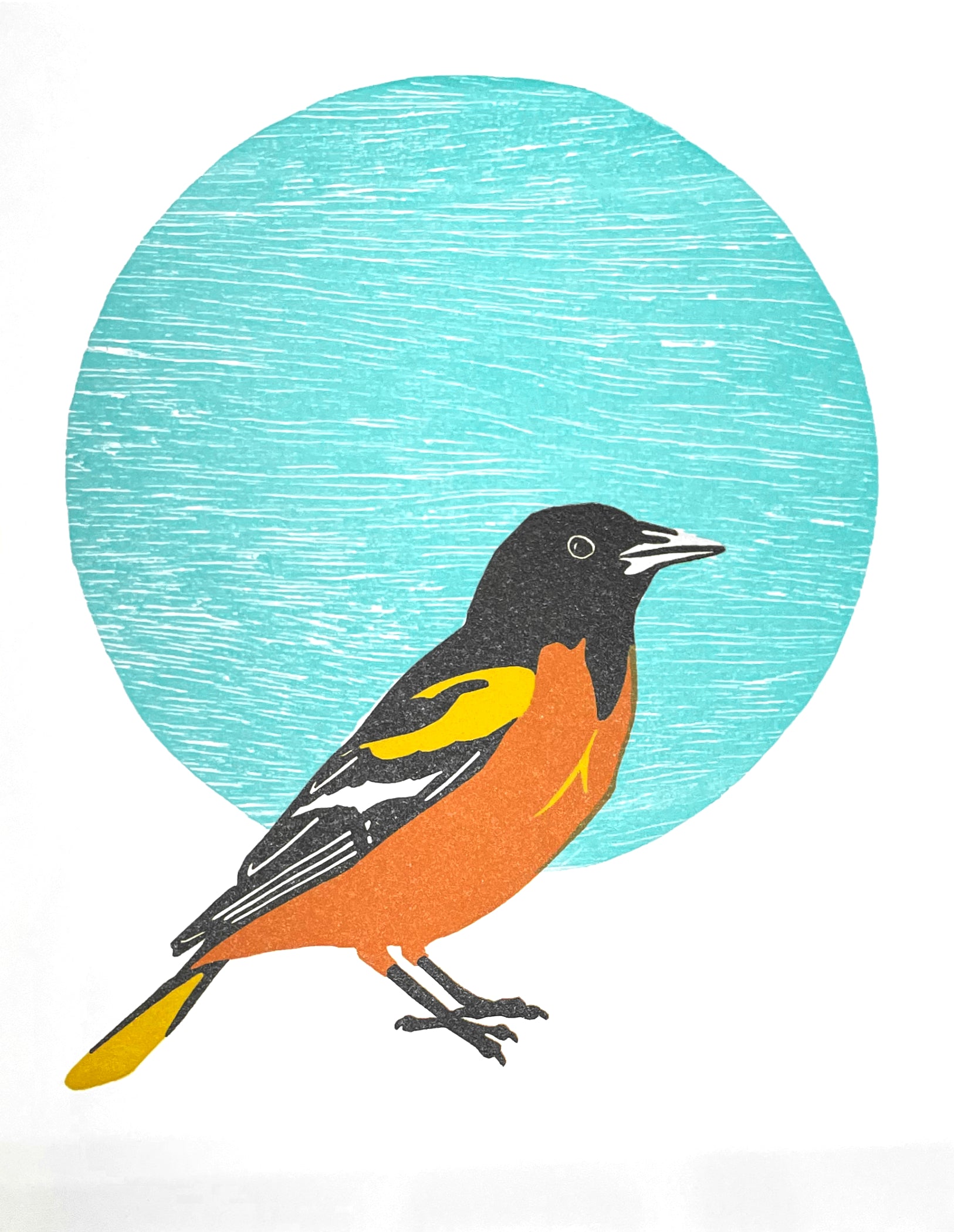 Baltimore Oriole Fine Art Linoleum Block Letterpress Print