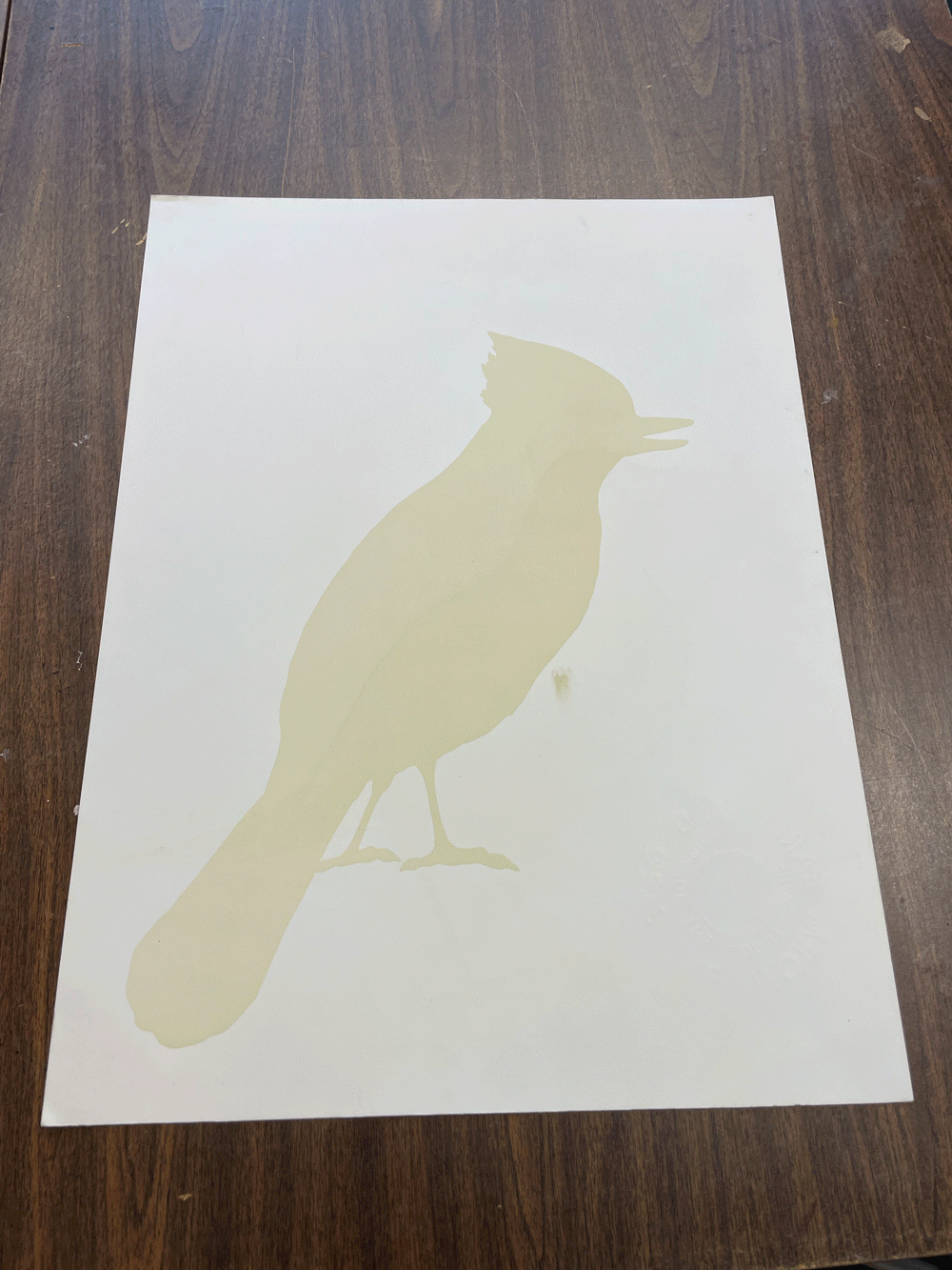 Blue Jay • Letterpress and Linocut Print