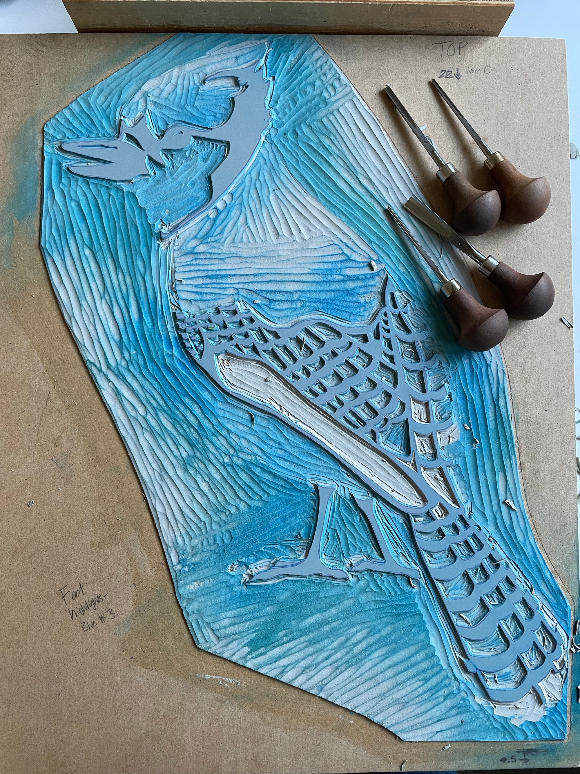 Blue Jay • Letterpress and Linocut Print