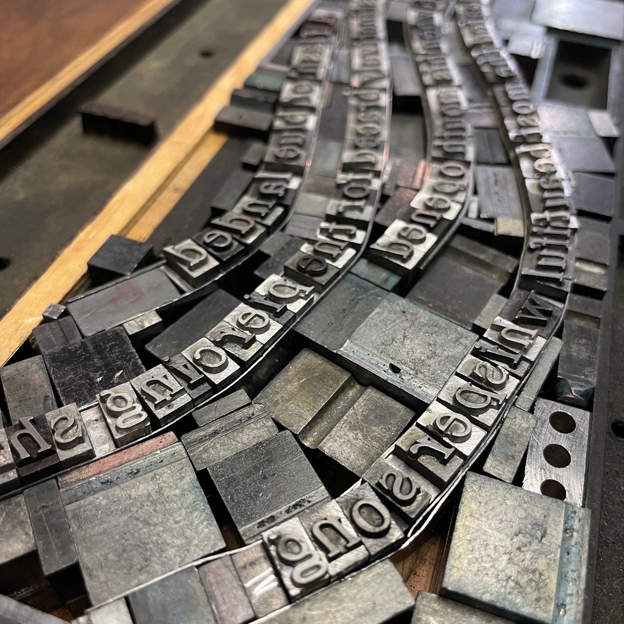 Blue Jay • Letterpress and Linocut Print