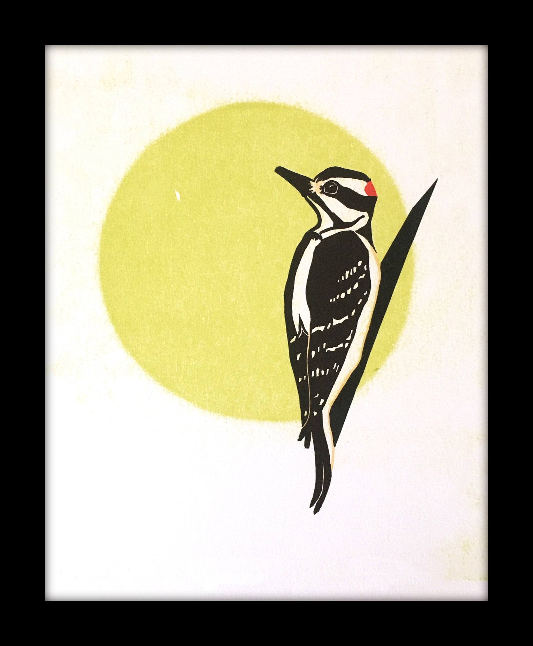 Downy Woodpecker fine art linoleum block letterpress print