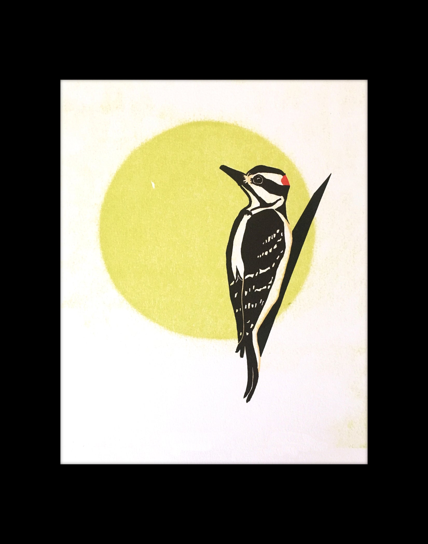 Downy Woodpecker fine art linoleum block letterpress print