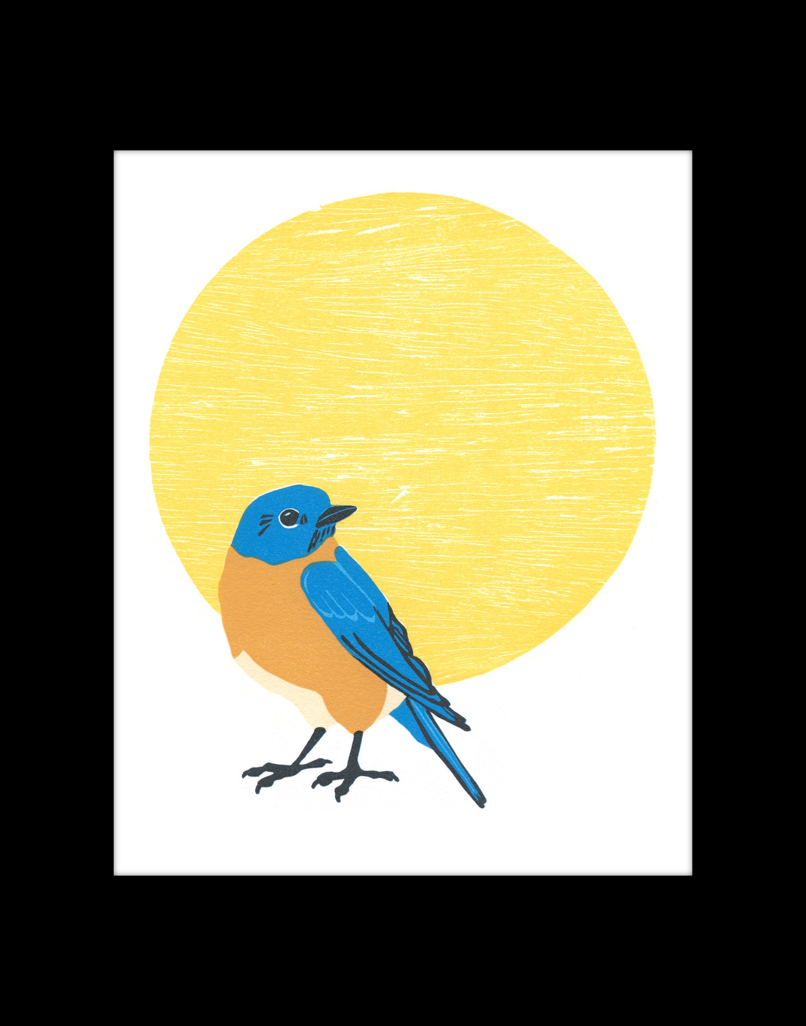 Eastern Bluebird Fine Art Linoleum Block Print