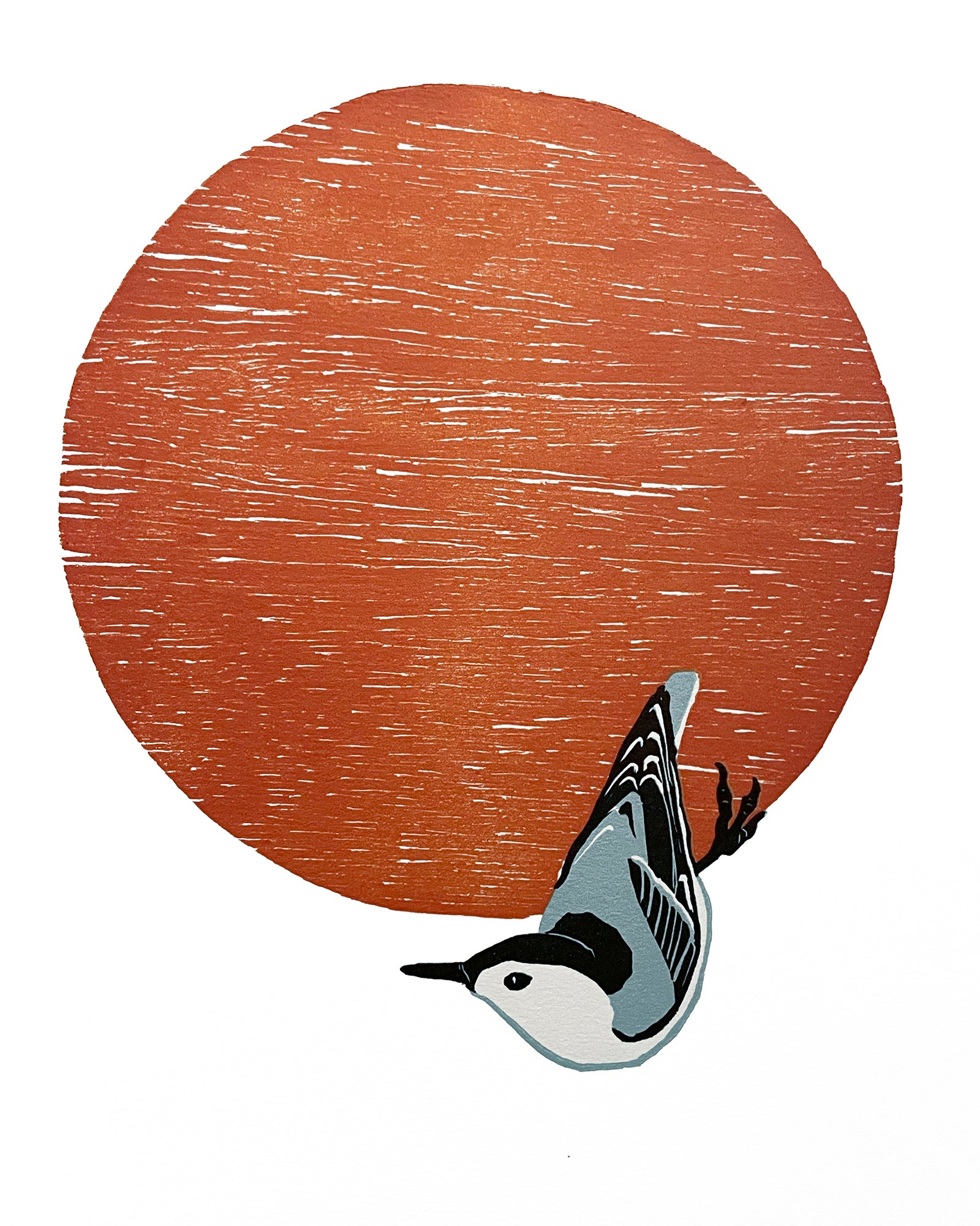 White-breasted Nuthatch Fine Art Linoleum Block Print