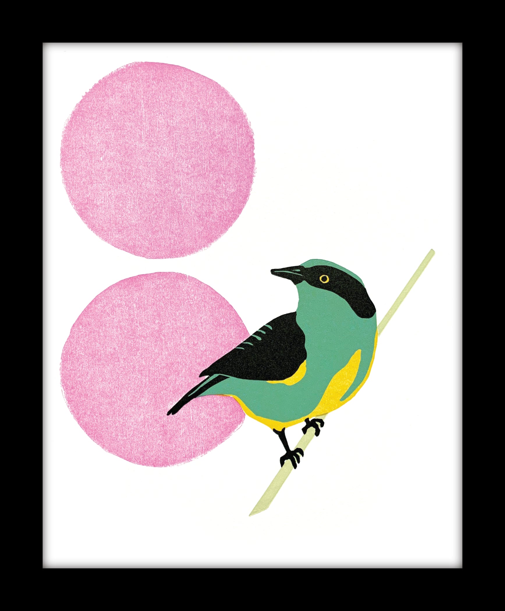 Yellow-Tufted Dacnis fine art linoleum block letterpress print