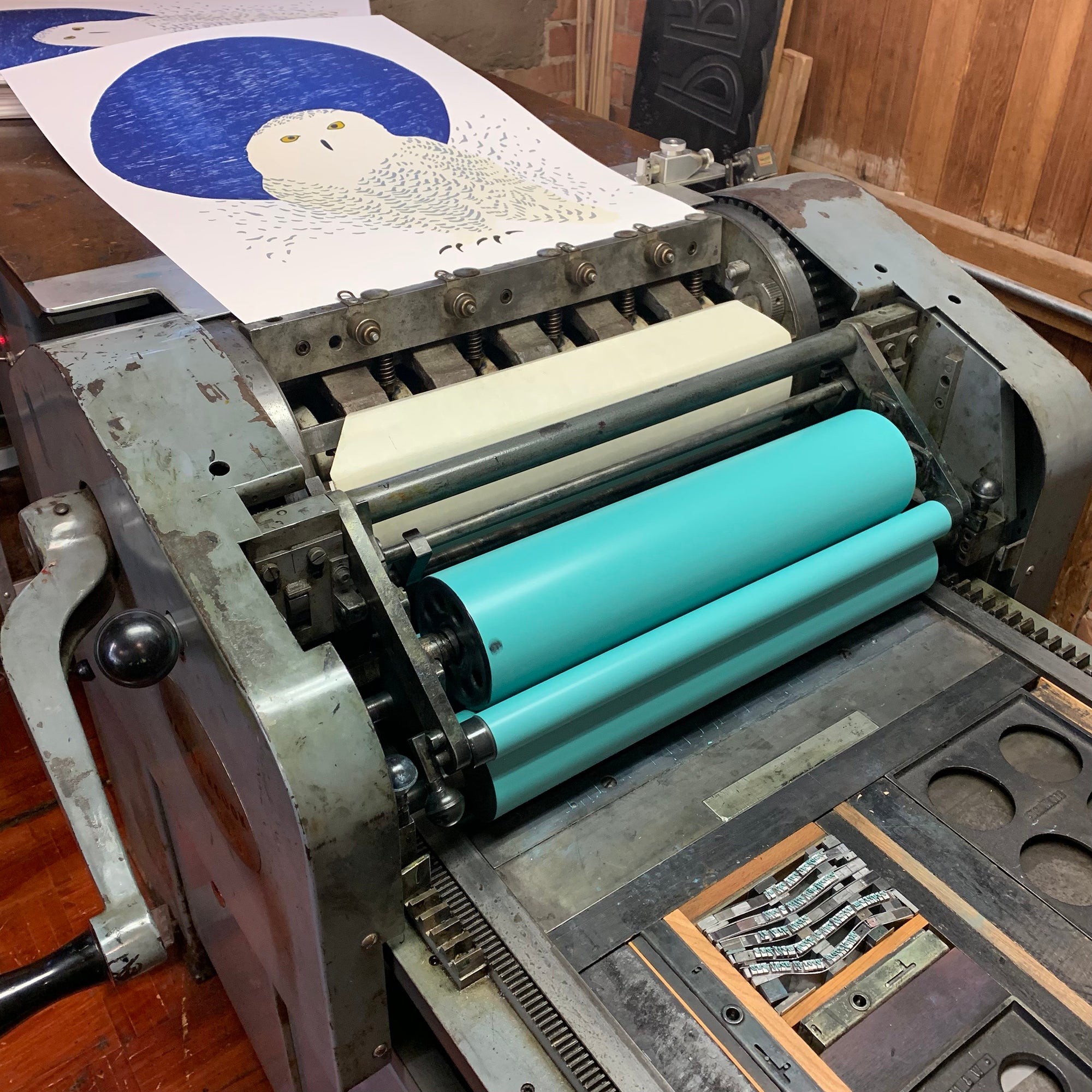 Snowy Owl • Letterpress and Linocut Print