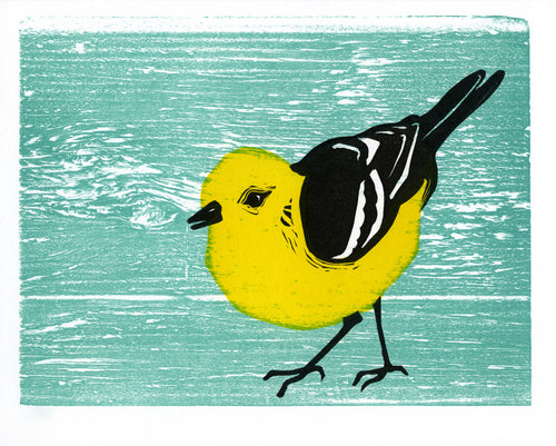 Warbler • Letterpress and Linocut Fine Art Print