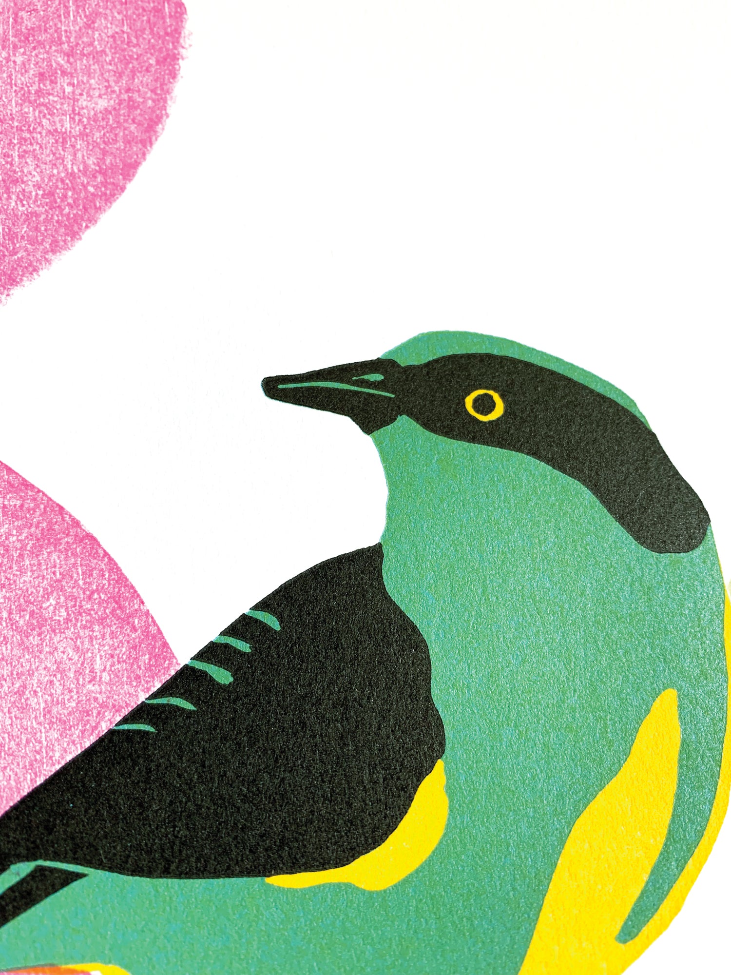 Yellow-Tufted Dacnis fine art linoleum block letterpress print