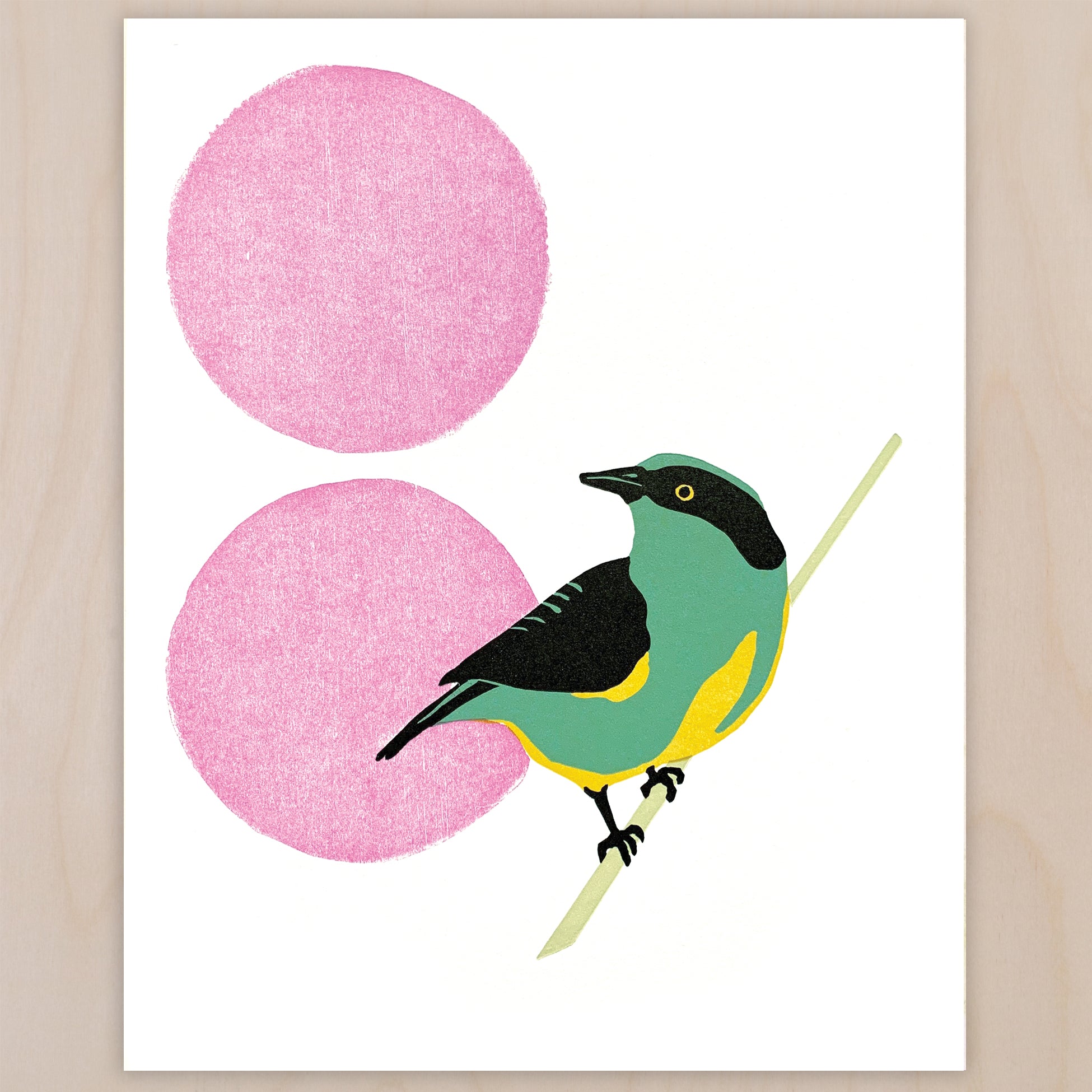 Yellow-Tufted Dacnis fine art linoleum block letterpress print