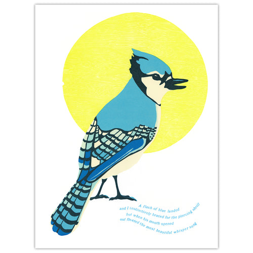 Blue Jay • Archival inkjet REPRODUCTION
