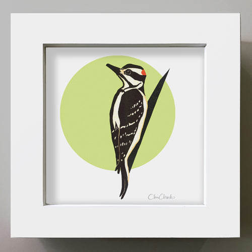 DOWNY WOODPECKER Framed Mini Bird Reproduction 4"x4"