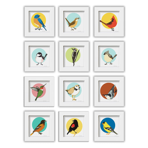 ALL 12 MINI BIRDS  Framed 4"x4" Reproductions