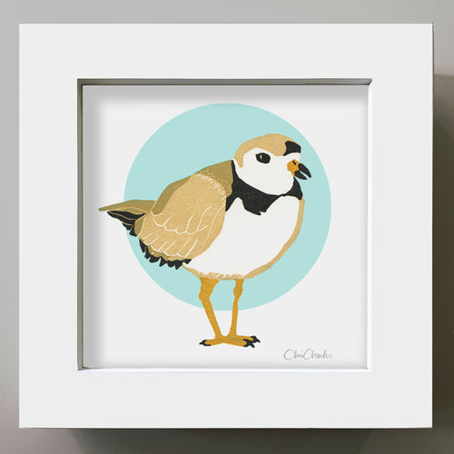 PIPING PLOVER Framed Mini Bird Reproduction 4"x4"