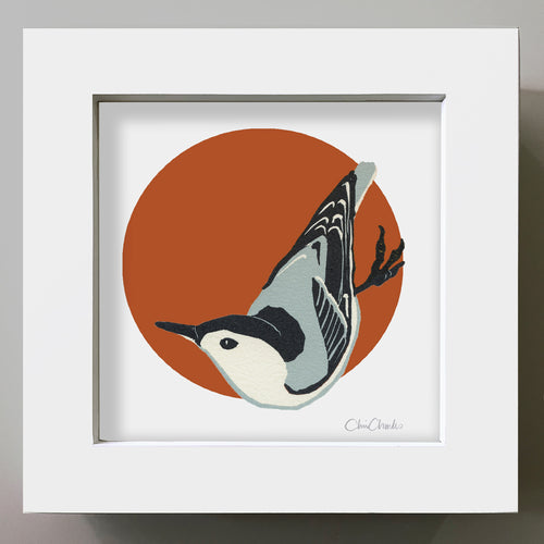 WHITE-BREASTED NUTHATCH Framed Mini Bird Reproduction 4"x4"