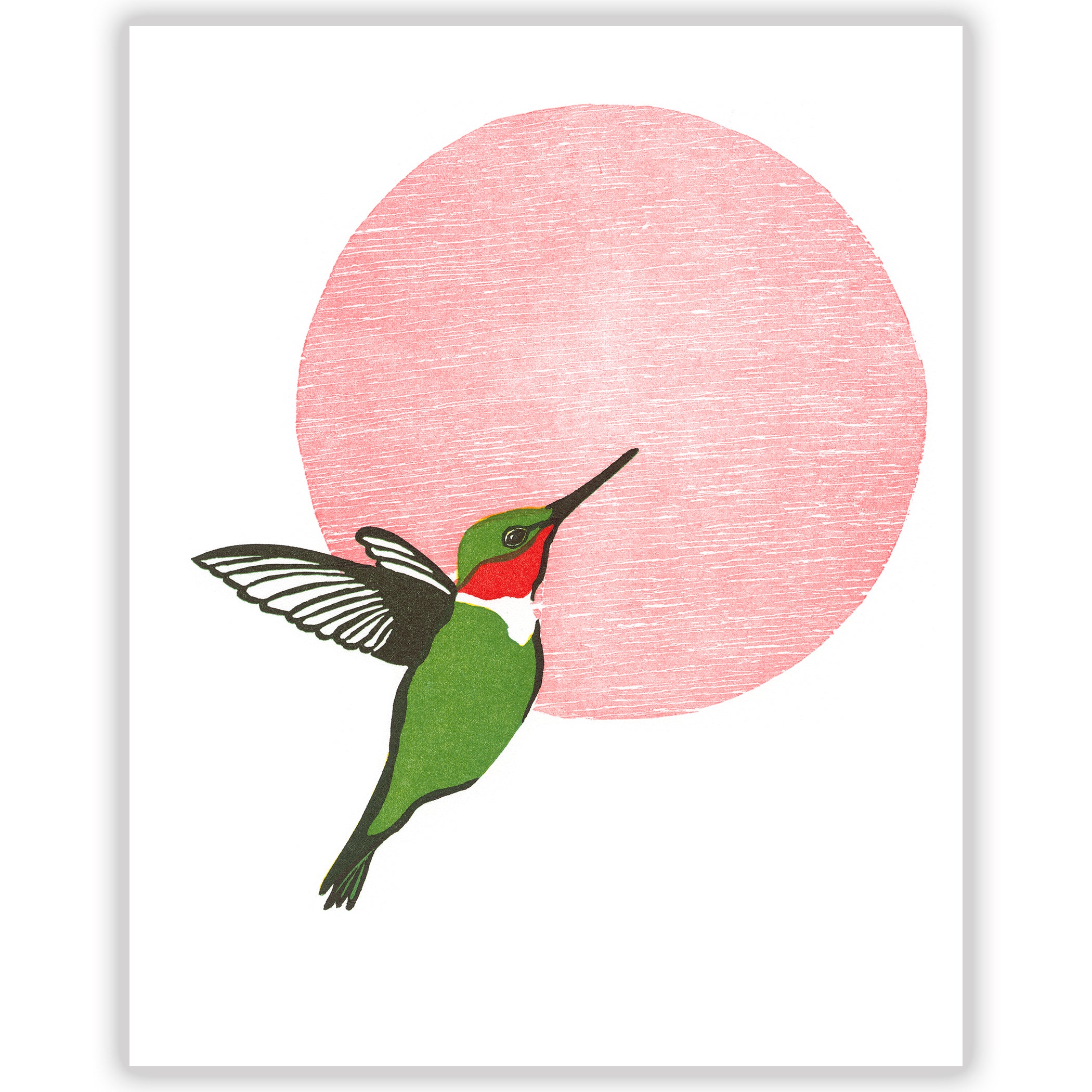 Ruby Roth Illustrations Ruby Throated Hummingbird Illustration