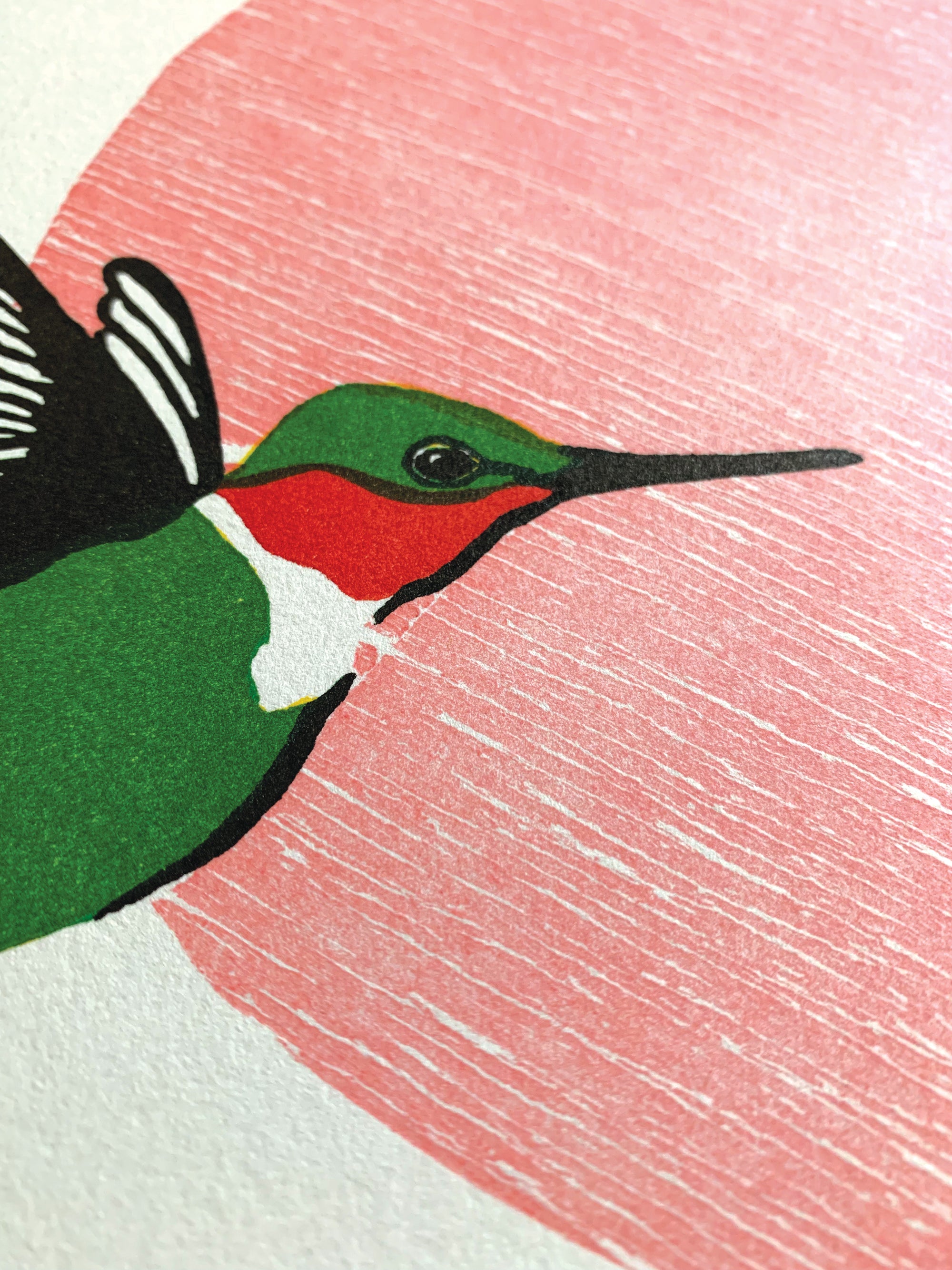 Ruby-Throated Hummingbird Fine Art Linoleum Block Letterpress Print