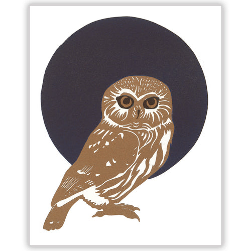 Northern Saw-Whet Owl Fine Art Linoleum Block Letterpress Print