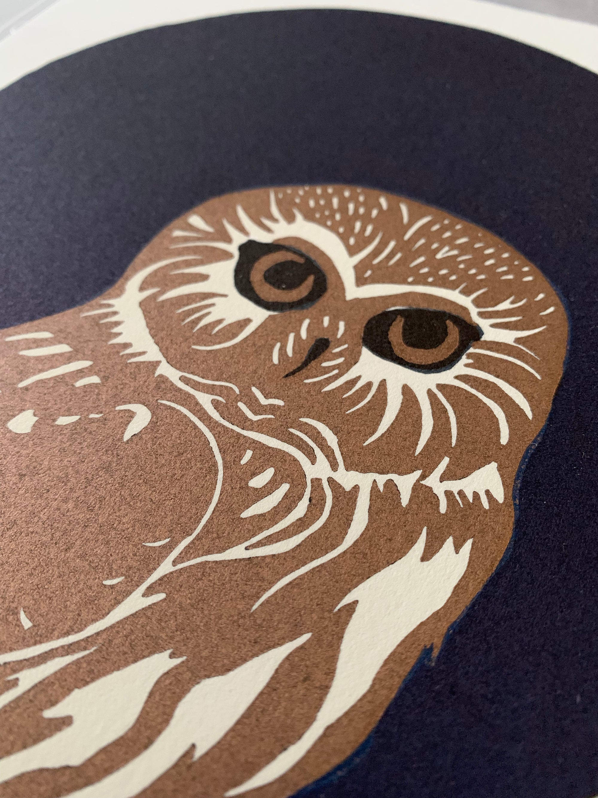 Northern Saw-Whet Owl Fine Art Linoleum Block Letterpress Print